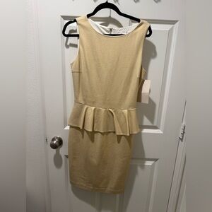 NWT Boston Proper Peplum Dress